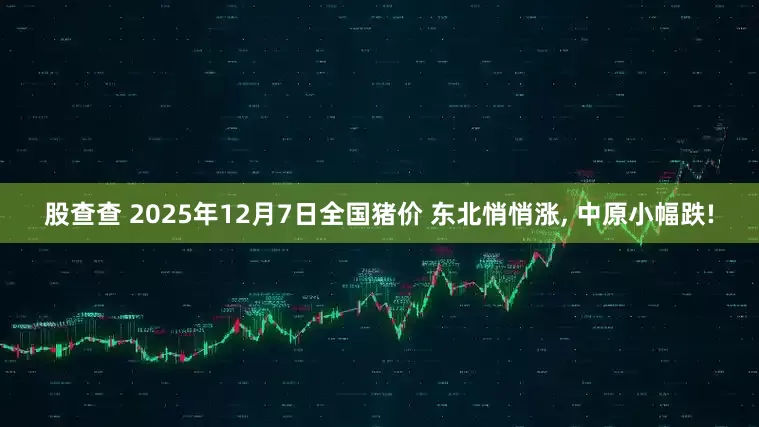 股查查 2025年12月7日全国猪价 东北悄悄涨, 中原小幅跌!